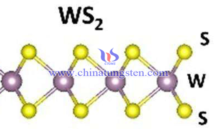 二硫化钨图片