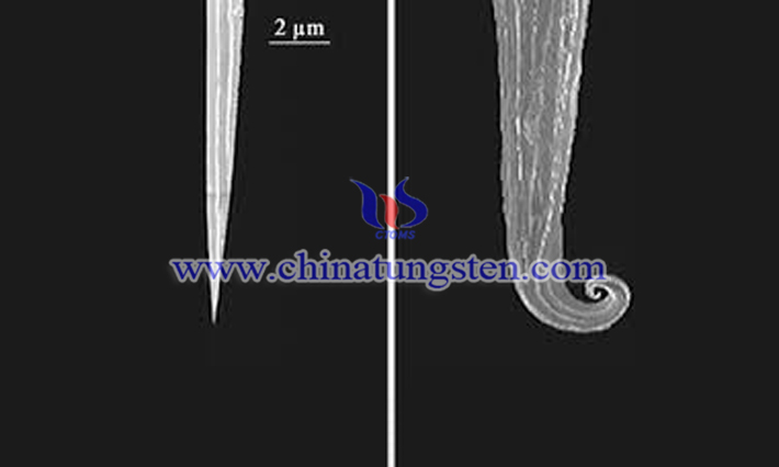 电解法制备钨针图片