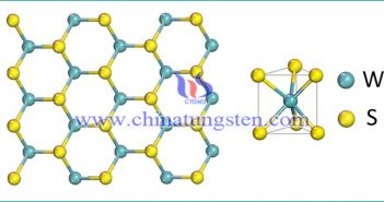 新型类石墨烯二维材料：二硫化钨图片