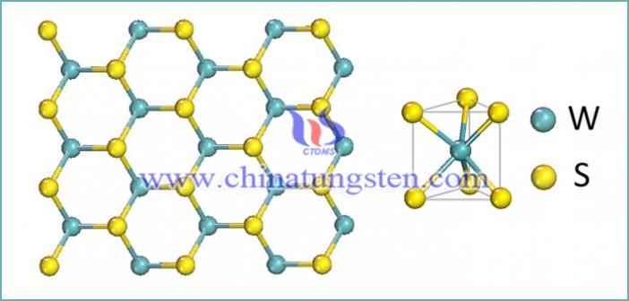 新型类石墨烯二维材料：二硫化钨图片