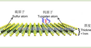 二维层状纳米材料：纳米二硫化钨图片