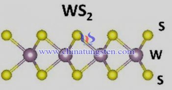 二硫化钨纳米片图片