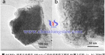 WSe2纳米片电化学性能图片