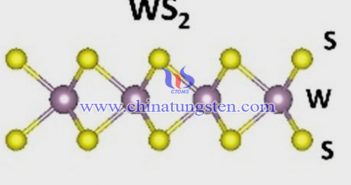 锂电芯用WS2纳米片图片