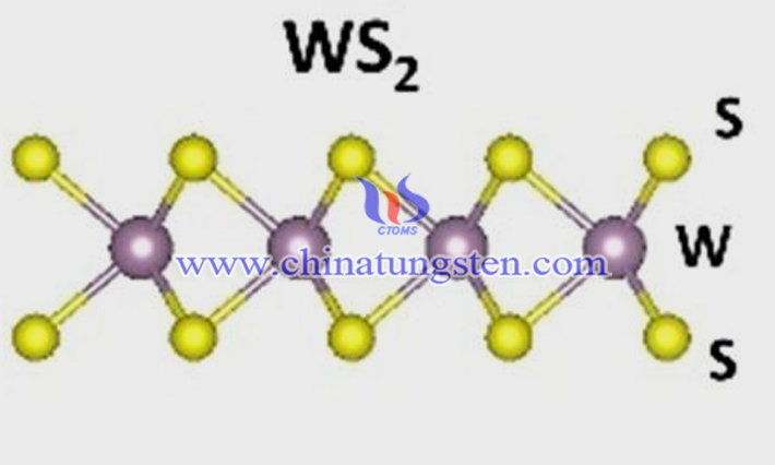 锂电芯用WS2纳米片图片