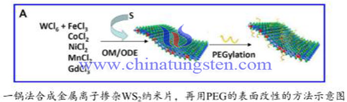 过渡金属元素掺杂WS2纳米片图片