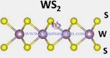 烧结法制备N掺杂WS2纳米片图片