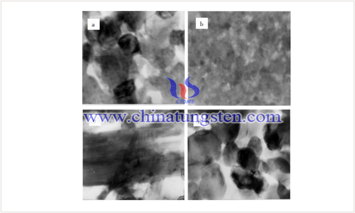 不同氧化钨颗粒的透射电镜照片