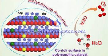 含钼多晶钴催化剂对OER反应的影响图片
