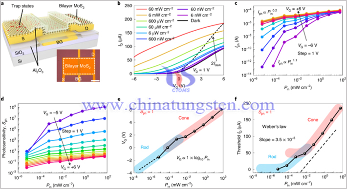MoS2光电晶体管的光强依赖性特性图片