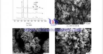 不同原料制备的碳化钨粉的XRD和SEM图