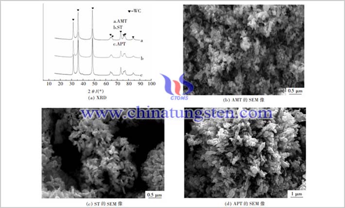不同原料制备的碳化钨粉的XRD和SEM图