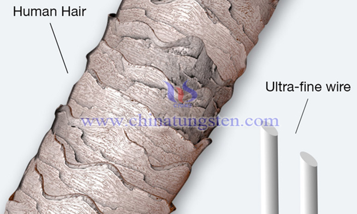 人体头发 VS 医用细钨丝对比图