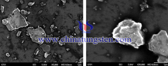 二硫化钨粉末超声处理后的SEM图（图源：燕山大学工学）