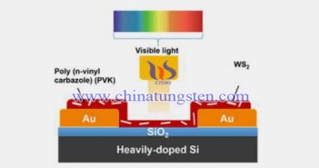 WS2-PVK光探测器结构示意图（图源：中科院上海光机所）