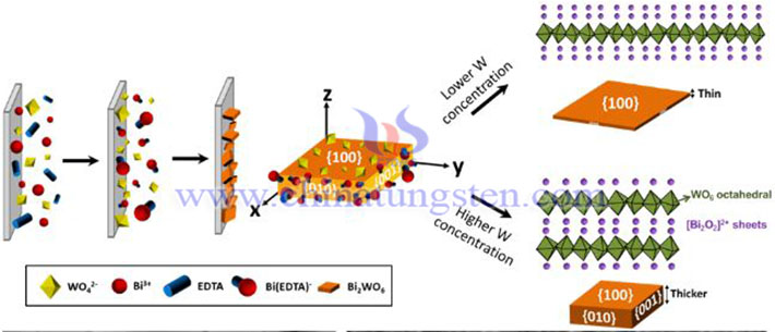钨酸铋光催化剂合成示意图（图源：香港城市大学）