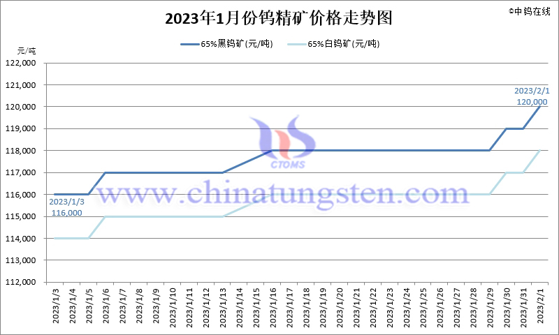 2023年1月份钨精矿价格走势图