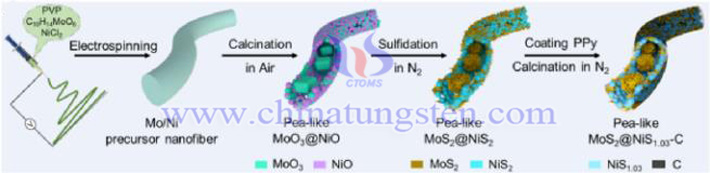 豆荚状MoS2@NiS1.03-Carbon异质中空纤维制备示意图（图源：Songwei Gao/Carbon Energy）