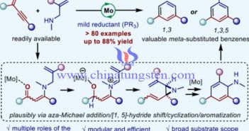 间位取代苯环衍生物合成示意图（图源：卓春祥/厦门大学）