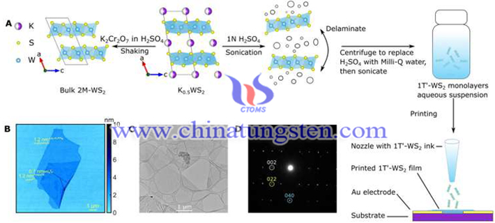 二硫化钨超导墨水的合成示意图
