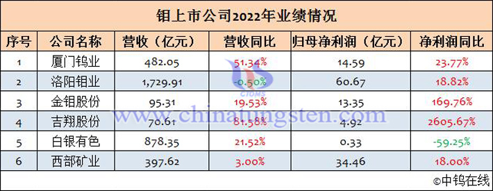 钼上市公司2022年业绩汇总