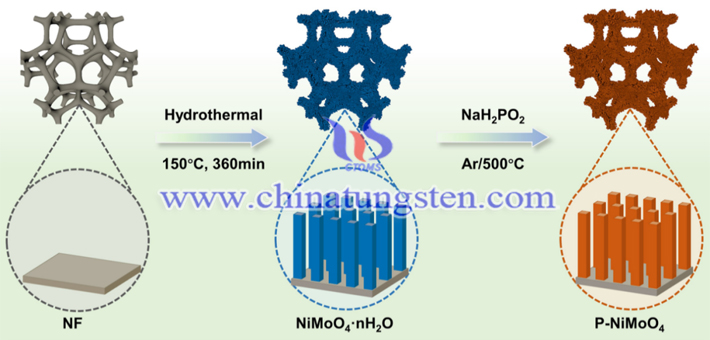 P-NiMoO4的合成示意图（图源：Small Structures）