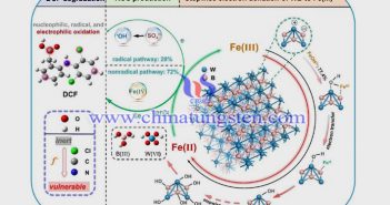 硼化钨用于Fenton氧化过程（图源：环境工程与科学）