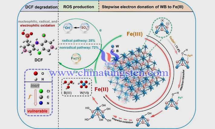 硼化钨用于Fenton氧化过程（图源：环境工程与科学）