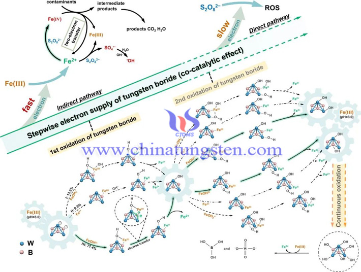 硼化钨用于Fenton氧化过程（图源：环境工程与科学）