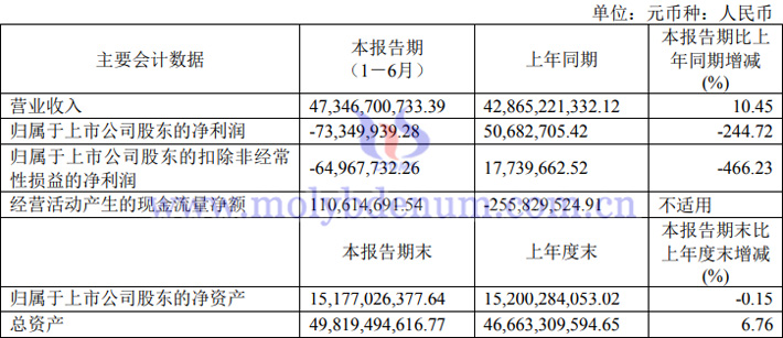 2023 年上半年白银有色业绩报告