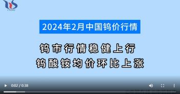 2024年2月中国钨价行情