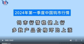 2024年第一季度钨市行情分析