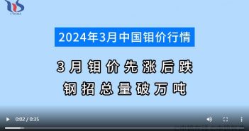 2024年3月钼市行情分析