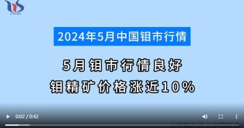 5月钼市行情如何