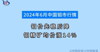 2024年6月钼市行情如何