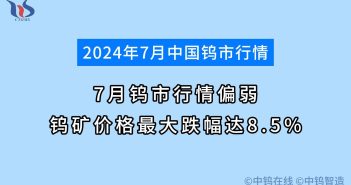 7月钨市行情如何