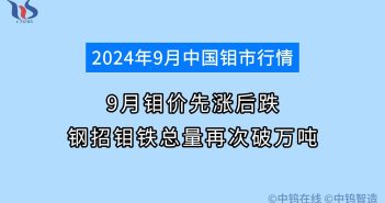 2024年9月钼价行情如何