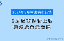 2024年8月钨市行情如何