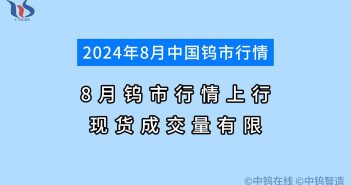 2024年8月钨市行情如何